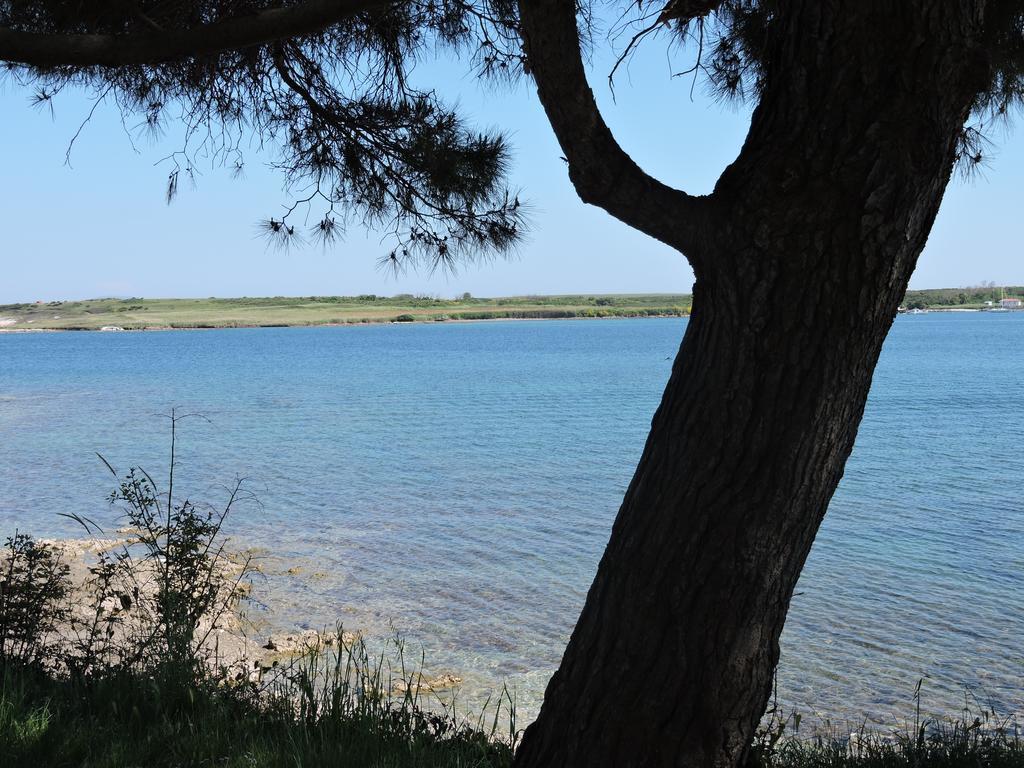 Apartments Vera Ližnjan Εξωτερικό φωτογραφία